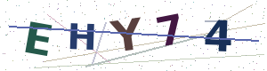 Security check image